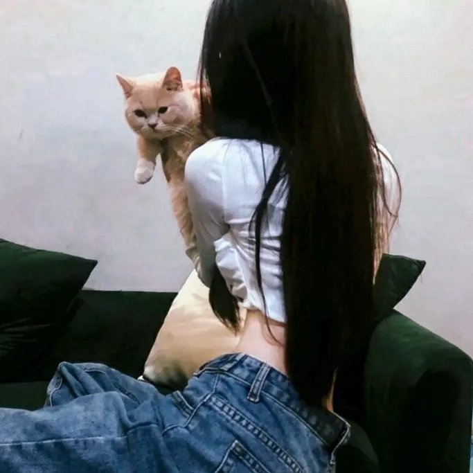 总统